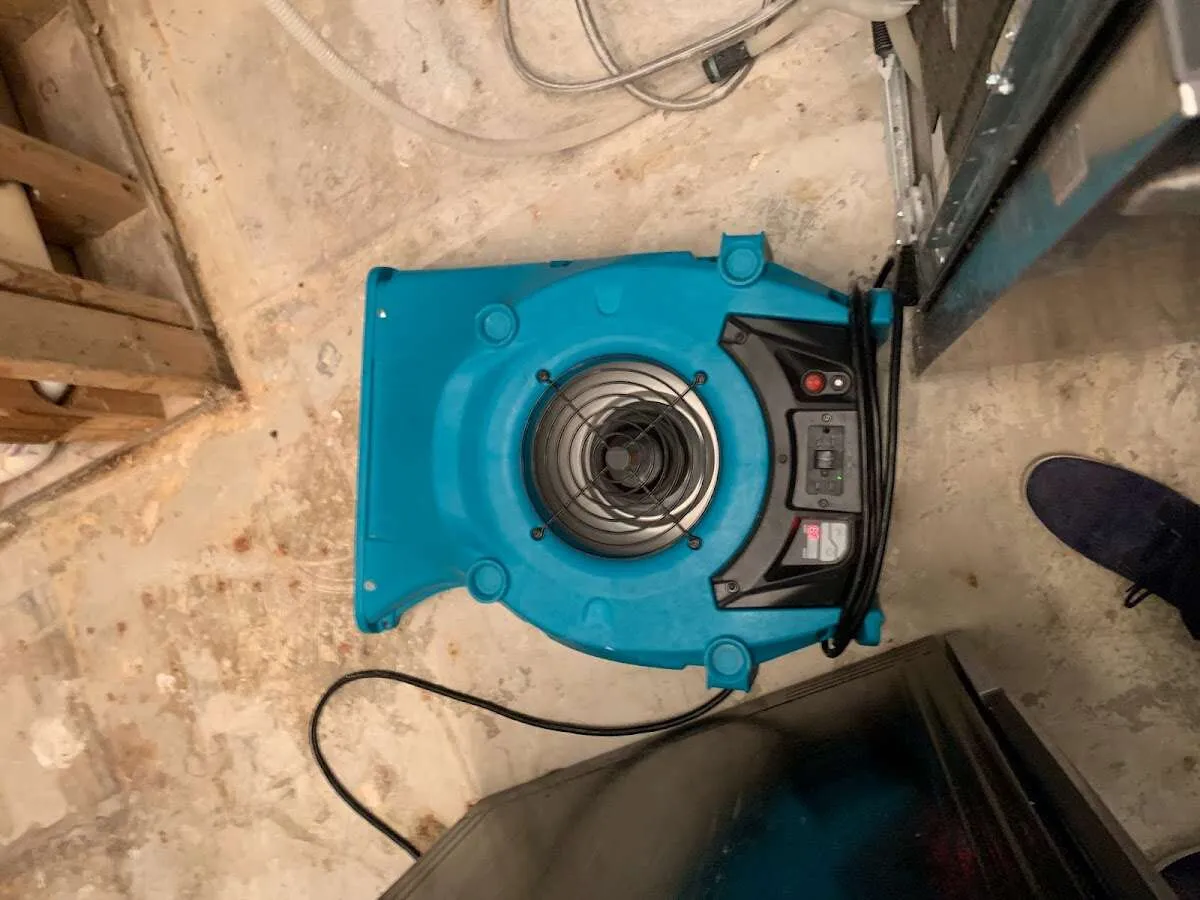 Air mover drying equipment for Mold Remediation & Removal in Springtown